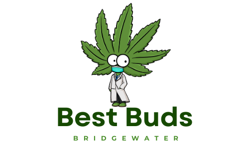 Best Buds BridgeWater